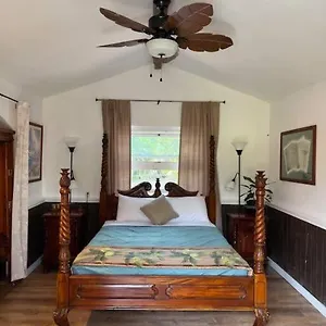 The Red And Hawaiian Pond Garden Paradise! Holiday home Keaau